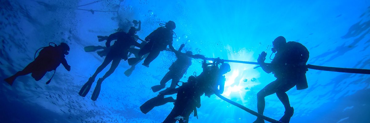 Dan Morgan's Free Agency Blueprint: WR & LB Targets for Panthers